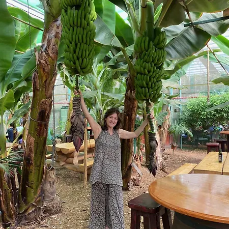 Window To The Sea, South Tenerife * La Mareta
